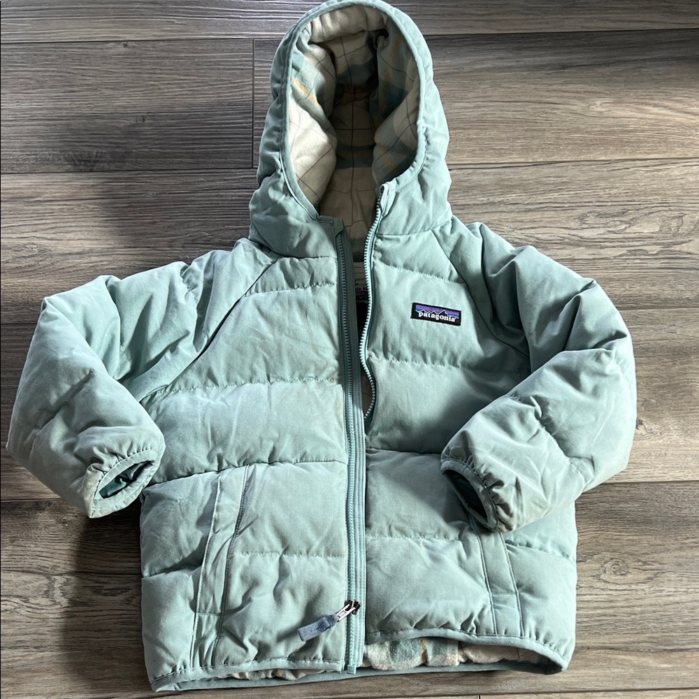 Patagonia Mint Hooded Puffer Jacket